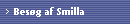 Besg af Smilla