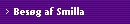 Besg af Smilla
