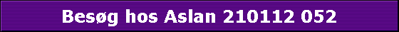 Besg hos Aslan 210112 052