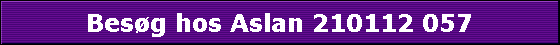 Besg hos Aslan 210112 057