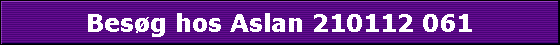 Besg hos Aslan 210112 061