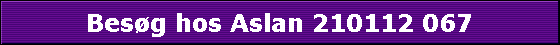 Besg hos Aslan 210112 067