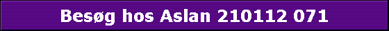 Besg hos Aslan 210112 071