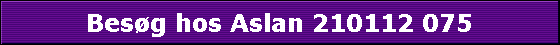 Besg hos Aslan 210112 075