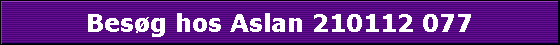 Besg hos Aslan 210112 077