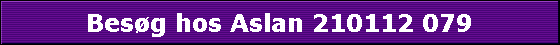 Besg hos Aslan 210112 079