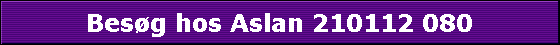 Besg hos Aslan 210112 080