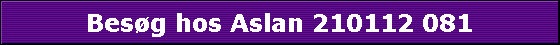 Besg hos Aslan 210112 081
