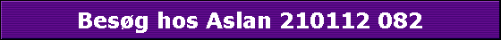 Besg hos Aslan 210112 082