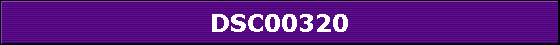 DSC00320