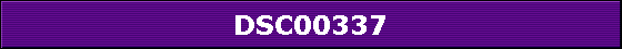 DSC00337