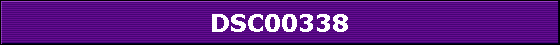 DSC00338