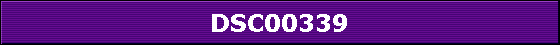 DSC00339