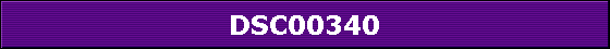 DSC00340