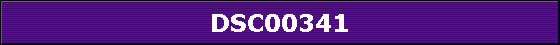 DSC00341
