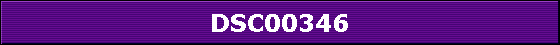 DSC00346