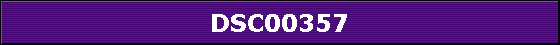 DSC00357