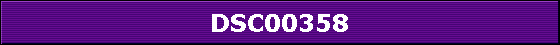 DSC00358