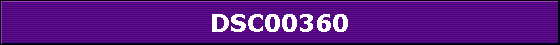 DSC00360