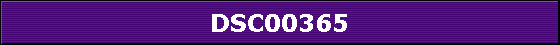 DSC00365
