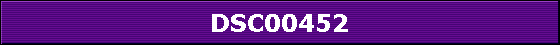 DSC00452