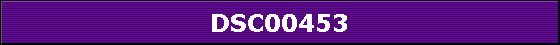DSC00453