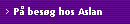 P besg hos Aslan