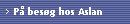 P besg hos Aslan