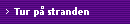 Tur p stranden