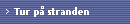 Tur p stranden