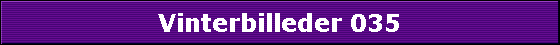 Vinterbilleder 035
