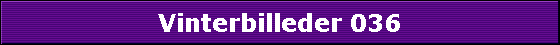 Vinterbilleder 036