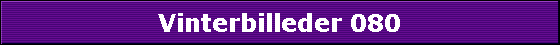 Vinterbilleder 080