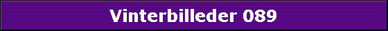 Vinterbilleder 089