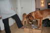 Besg hos Aslan 210112 052