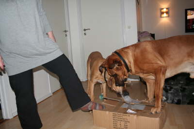Besg hos Aslan 210112 052