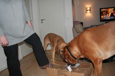 Besg hos Aslan 210112 053