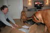Besg hos Aslan 210112 055