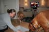 Besg hos Aslan 210112 056