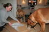 Besg hos Aslan 210112 057