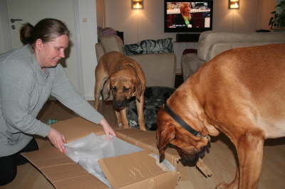 Besg hos Aslan 210112 057