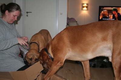 Besg hos Aslan 210112 058