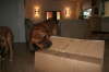 Besg hos Aslan 210112 060