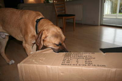 Besg hos Aslan 210112 061
