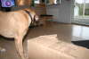 Besg hos Aslan 210112 062