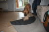 Besg hos Aslan 210112 071