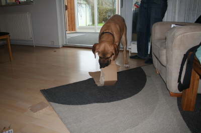 Besg hos Aslan 210112 071