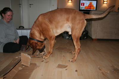Besg hos Aslan 210112 072