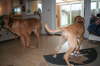 Besg hos Aslan 210112 073