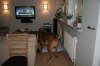 Besg hos Aslan 210112 074